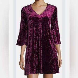 Eliza J Size 8 Crushed Velvet Bell Sleeve Shift Dress whimisgoth fairy
